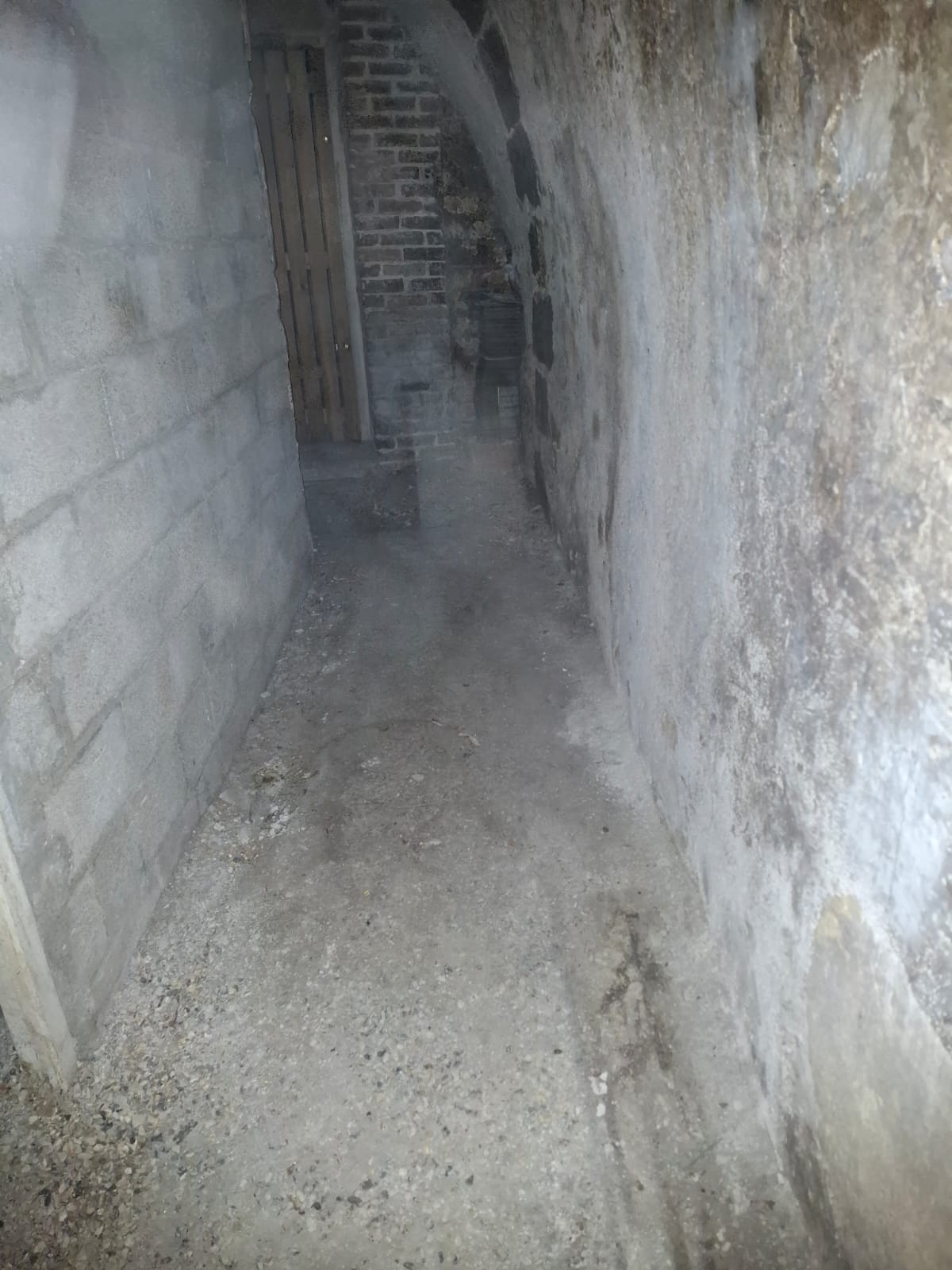 Debarras caves greniers appartements Paris 1